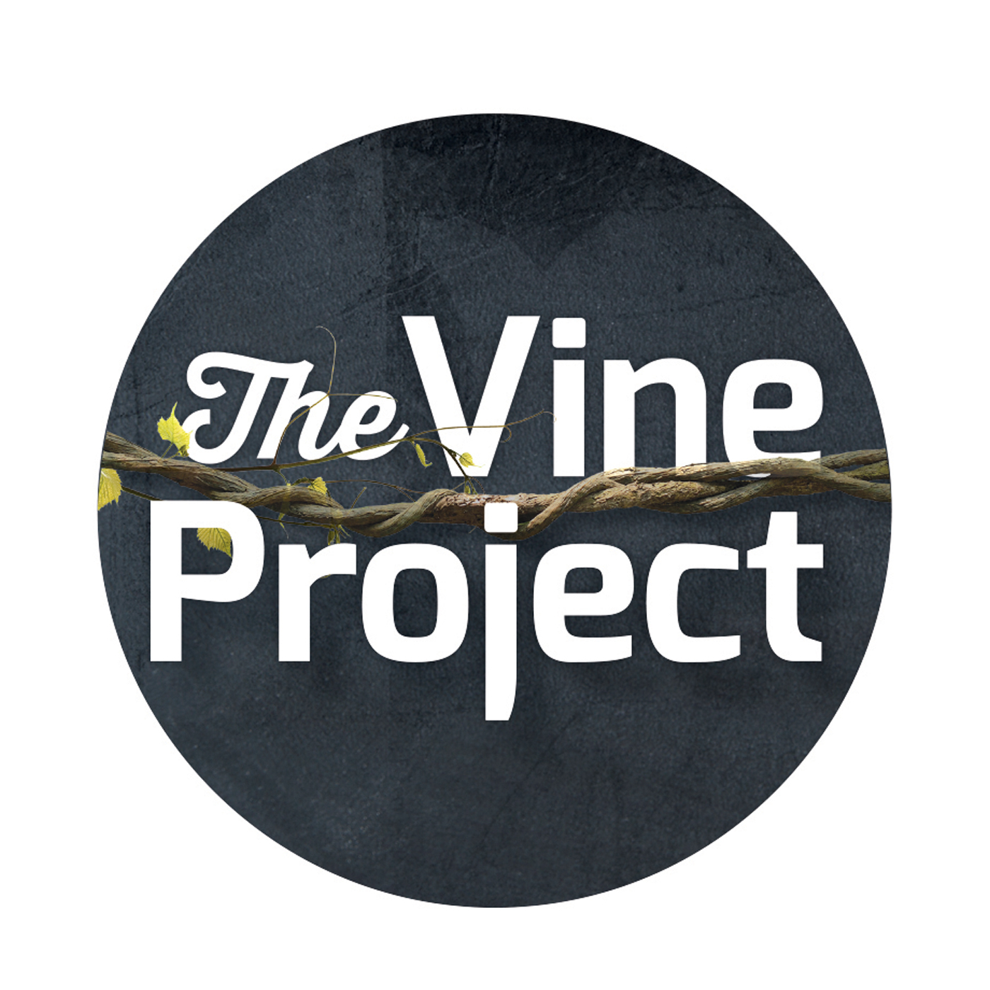 The Vine Project Shaping Your Ministry Around Disciple Making